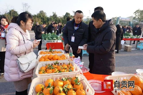田园荣州 谁家果蔬种得好，摆个擂台赛一赛